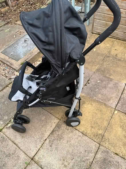 Photo of free Baby Prawn (Hillsborough S6) #2