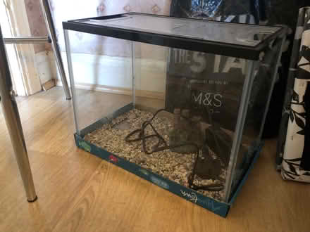 Photo of free Fish tank (Chelmsford CM2) #1