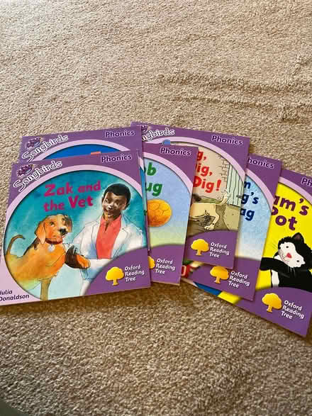 Photo of free Phonics Reading books (Downend BS16) #2
