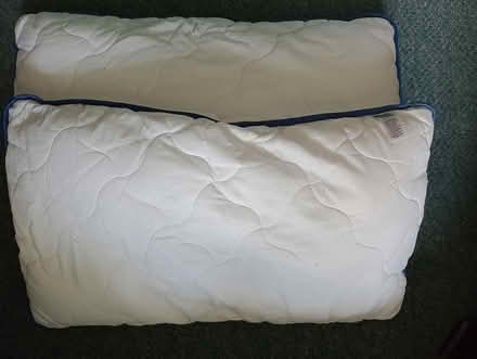 Photo of free 2 x pillows (Carrington M31) #1