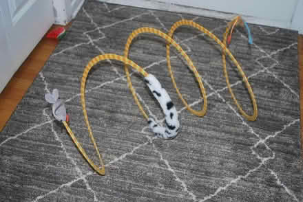 Photo of free Cat toy (gatineau ave & de bourgogne st) #1