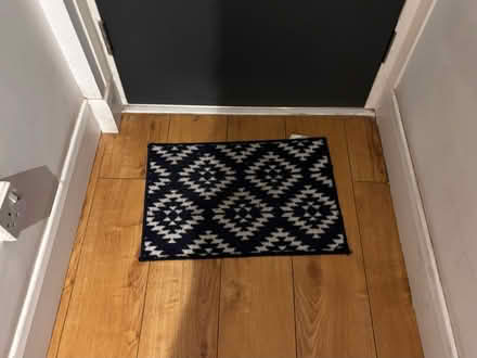 Photo of free Hall runner and mat (NW5 area) #2