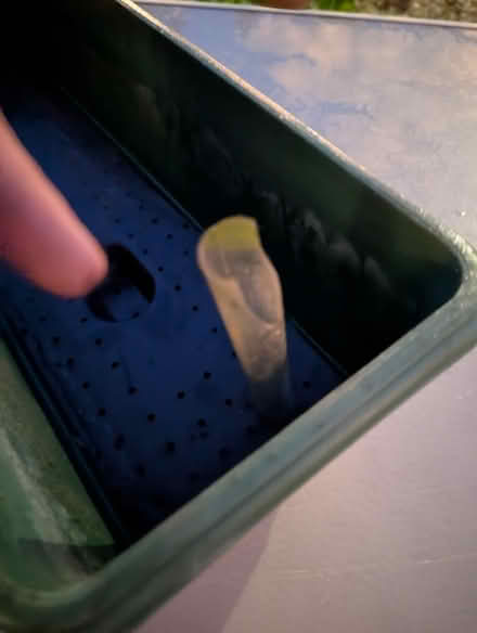 Photo of free 5x plant plastic troughs/planters (Montpelier BS6) #1