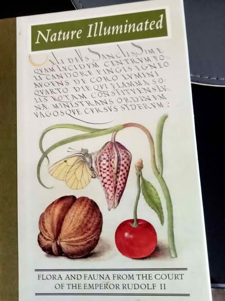 Photo of free Nature Illuminated (Polegate BN26) #1