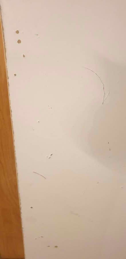 Photo of free Ikea Linnmon Table Top (Abertridwr CF83) #2