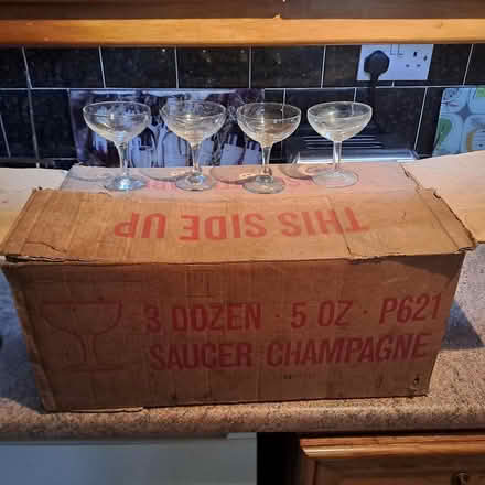 Photo of free Champagne saucer glasses (north watford WD24) #1