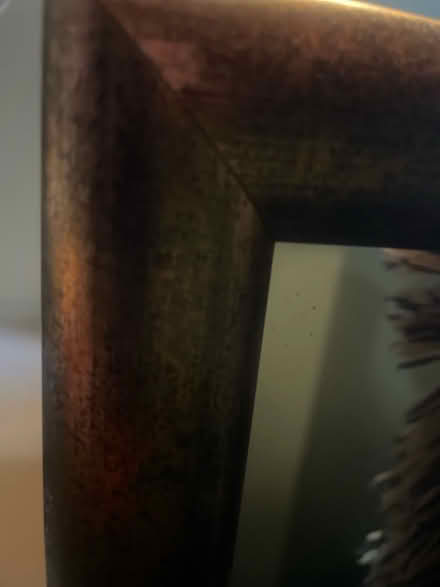 Photo of free Large gold coloured mirror (Queen's Park BN2) #4