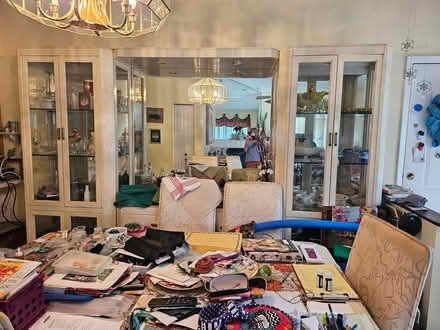 Photo of free to empty a condo (W of US 19 in Palm Harbor) #4