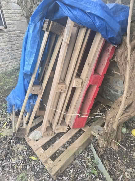 Photo of free 5 wooden pallets (Bladon OX20) #1