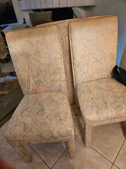 Photo of free to empty a condo 2 (W of US 19 in Palm Harbor) #3