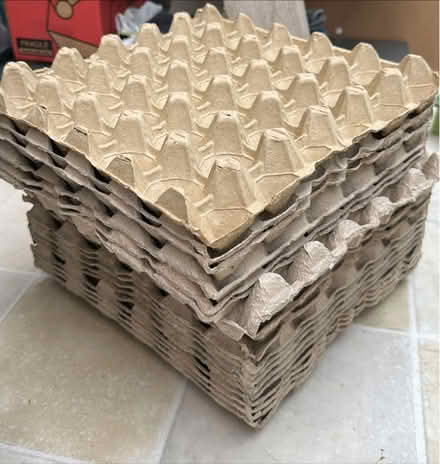 Photo of free Egg boxes (S10) #1