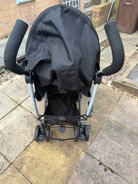 Photo of free Baby Prawn (Hillsborough S6) #1