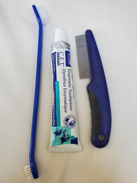 Photo of free Pet care items (Albany) #1