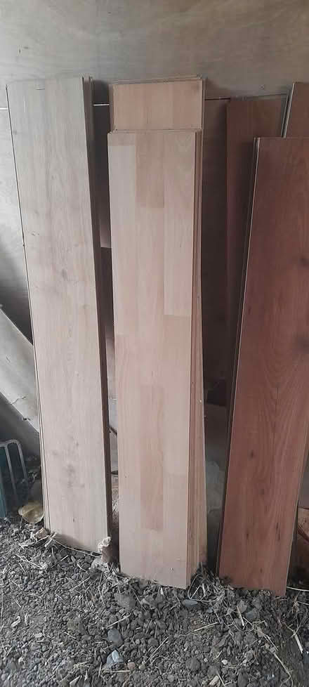 Photo of free Laminate flooring (Dodford B61) #1