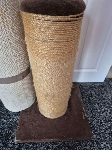 Photo of free Fatboy cat post (Royal Leamington Spa CV31) #1