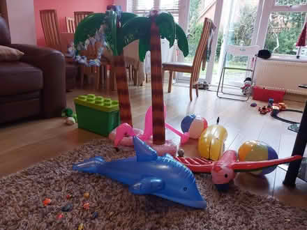Photo of free Tropical party inflatables (Kidlington OX5) #2