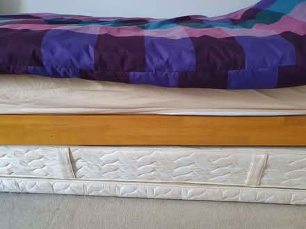 Photo of free Storable trundle bed (Glastonbury BA6) #2