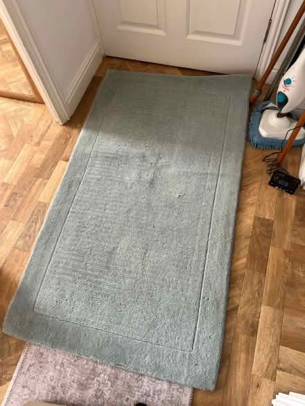 Photo of free Duck egg John Lewis rug (Beckton E16) #1