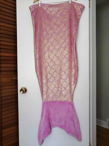 Photo of free Mermaid Tail Blanket (Old Ottawa East) #1