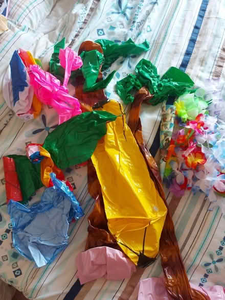 Photo of free Tropical party inflatables (Kidlington OX5) #1