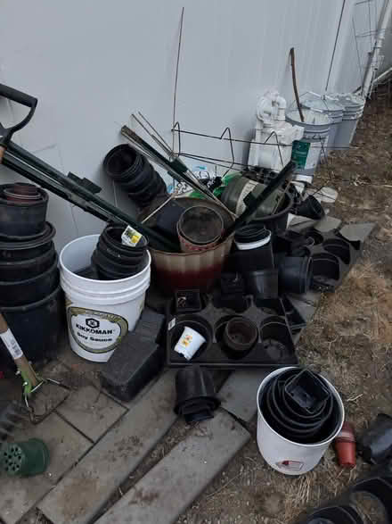Photo of free plastic pots (Bellevue) #1