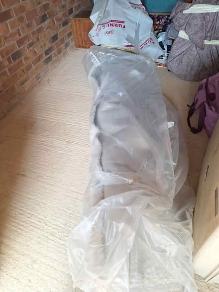 Photo of free Large carpet (SN15) #3