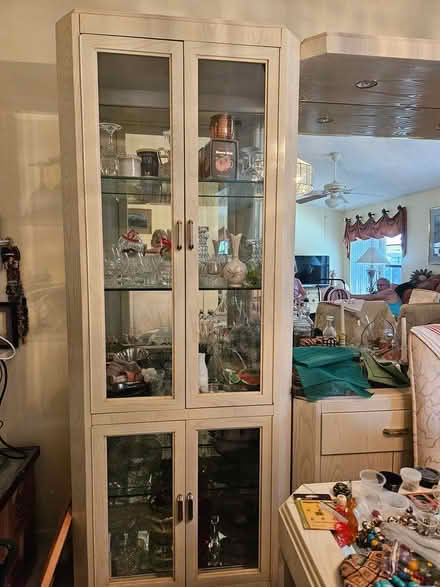 Photo of free to empty a condo (W of US 19 in Palm Harbor) #3