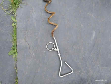 Photo of free Spiral stake (Ingol PR2) #1