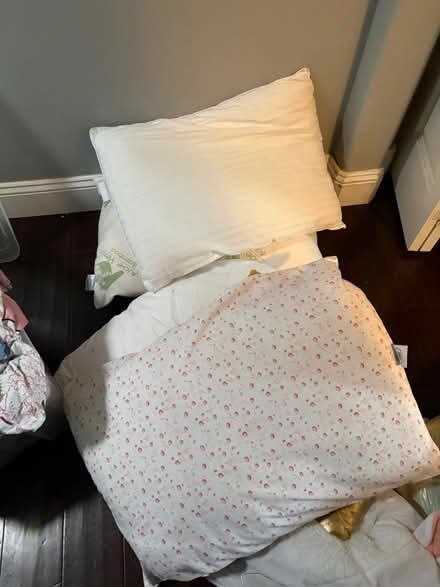 Photo of free Used pillows (Hillsboro) #1
