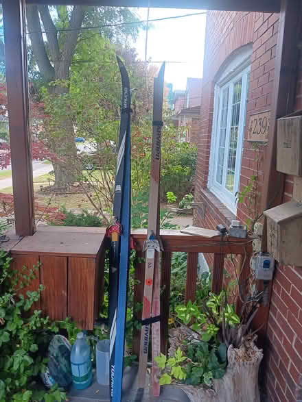 Photo of free Cross country skis (Yonge and Sheppard) #1