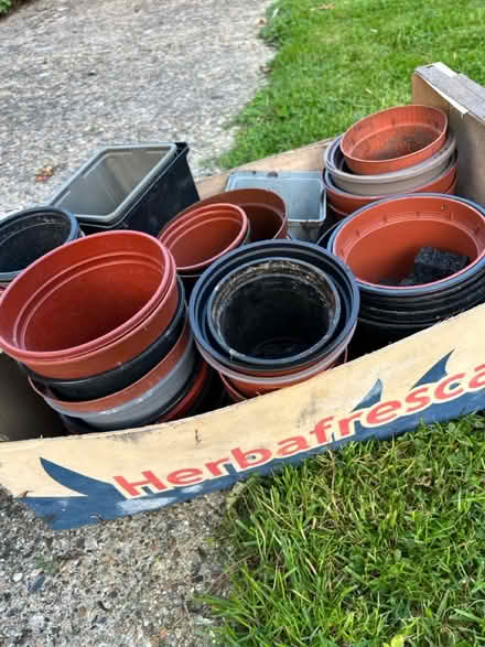Photo of free Plastic garden pots and trays (Sands, High Wycombe) #1