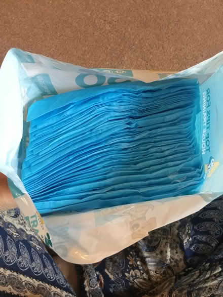 Photo of free Puppy/potty training pads (Shrewsbury) #2