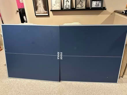 Photo of free Joola Folding Ping Pong Table (Wattles and Squirrel) #1