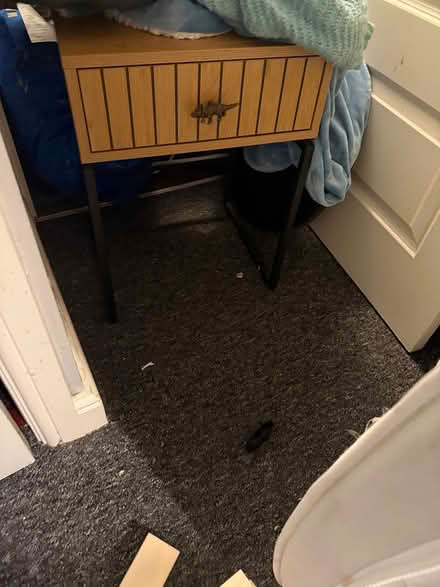 Photo of free Bedside table with dinosaur handle (Gorton M18) #1