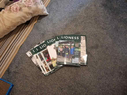 Photo of free Lioness magazines (Nailsworth GL6) #1