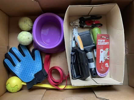 Photo of free Collection of dog items. (IQ Winnersh RG41) #1