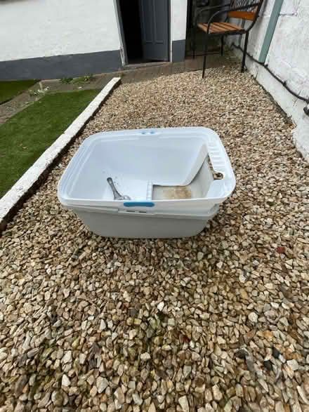 Photo of free for cats (Dublin) #2