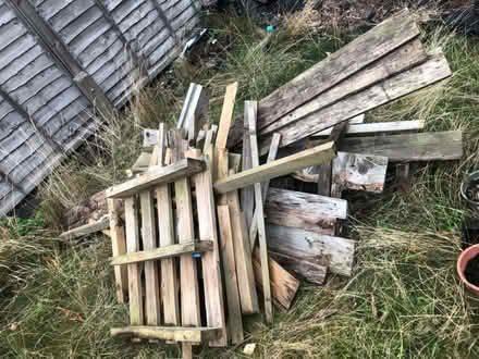 Photo of free Wood for project or bonfire night (Leamington Spa (CV32)) #1