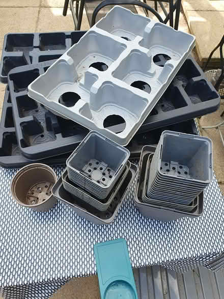Photo of free Seed trays and plant pots (Basingstoke RG23) #2