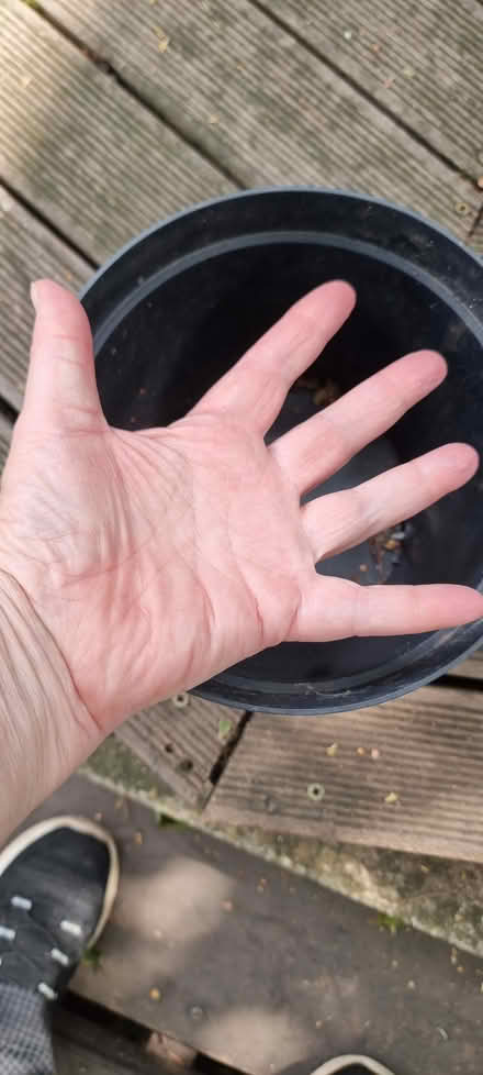 Photo of Largish plant pots (Ilford) #1