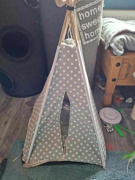 Photo of free Cat Teepe (Larkhall) #1