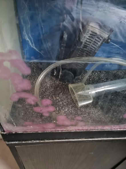 Photo of free 80 litre fish tank with cupboard (Bathford, BA1) #3