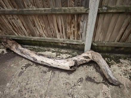 Photo of free Tree trunk / timber (Harrow HA3) #1