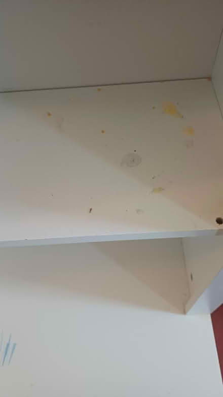 Photo of free Bookcase with drawers (Bearwood B67) #3
