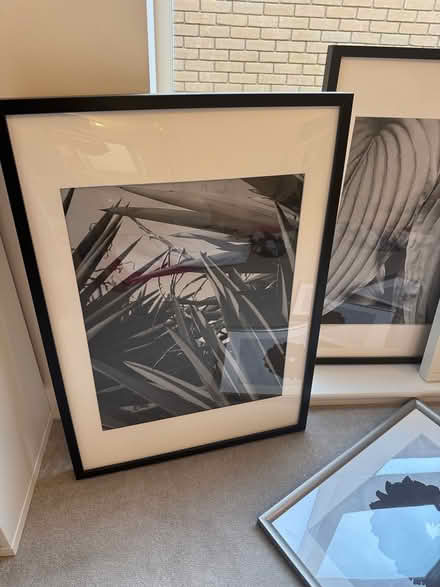 Photo of free Collection of pictures with frames (Trumpington) #2