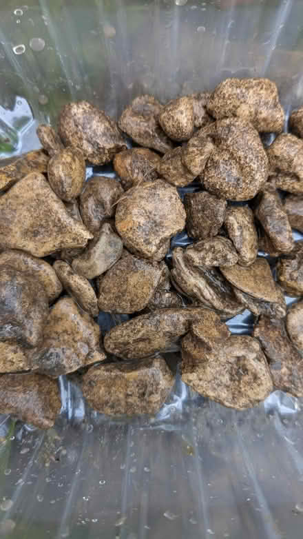 Photo of free Garden stones (mixed with soil) (BS13) #1