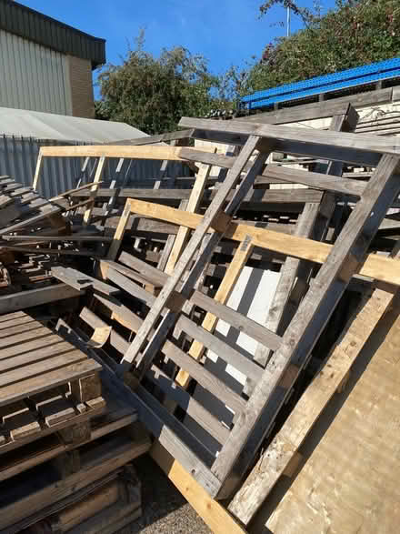 Photo of free Firewood (Trowse NR1) #1