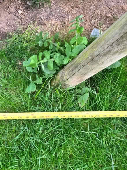 Photo of free Kids play frame (Chatham ME5) #4