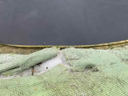 Photo of free 8ft. Trampoline (Great Hollands RG12) #2
