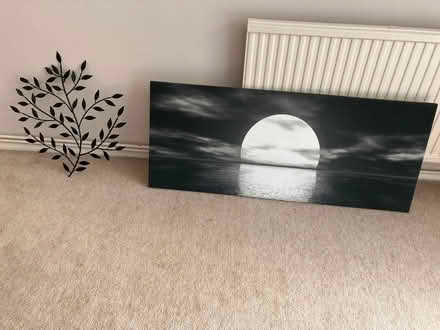 Photo of free 2 pcs wall art (Emmbrook RG41) #1
